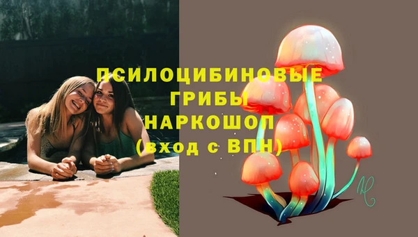 крисы Ладушкин