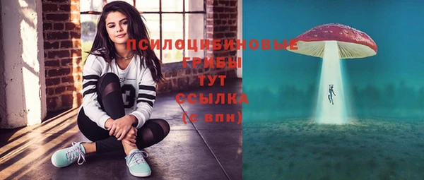 гашик Лабытнанги